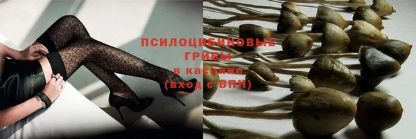 СК Верея
