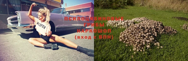 СК Верея