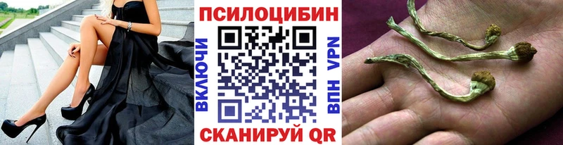 купить наркотик  Чулым  Галлюциногенные грибы MAGIC MUSHROOMS 